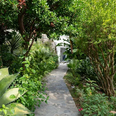 Sterlizia Holiday home