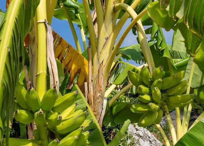 Сasa de vacaciones Sterlizia *