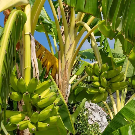 Hébergement de vacances Sterlizia *