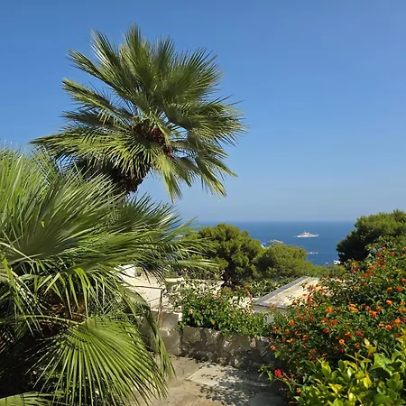 Hébergement de vacances Sterlizia Capri